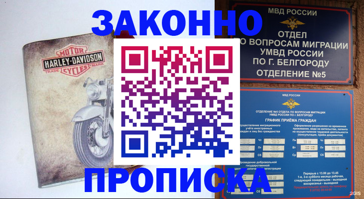 прописка для школы в Нижегородской области